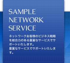 SAMPLE NETWORK SERVICE